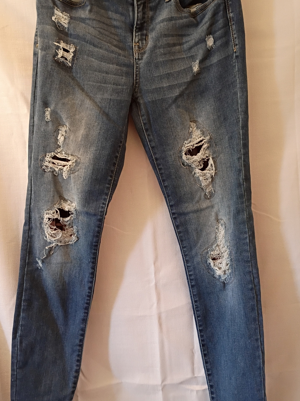Judy Blue Skinny Jeans